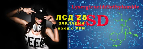 прущий лед Богданович