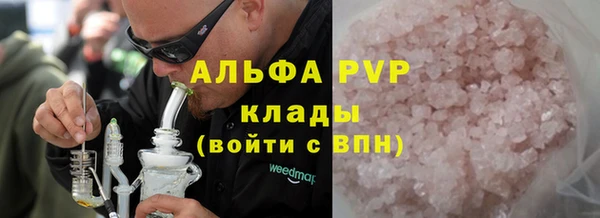 прущий лед Богданович