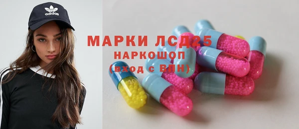прущий лед Богданович