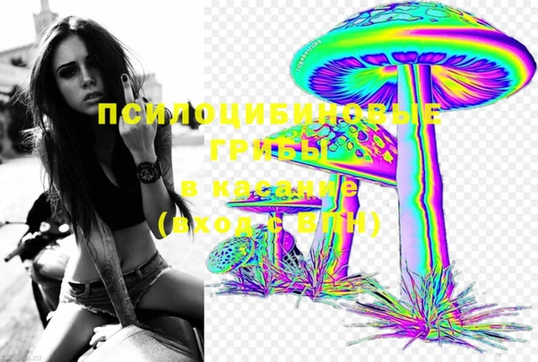 мдма Богородицк
