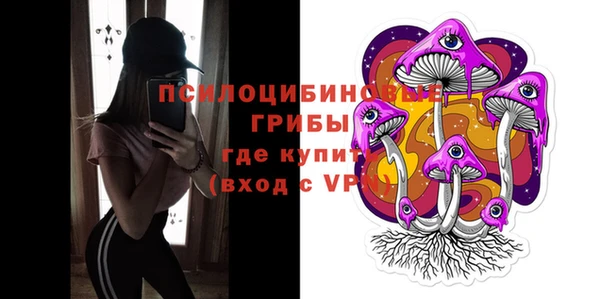 Альфа ПВП Белокуриха